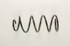 FIAT 7637216 Coil Spring